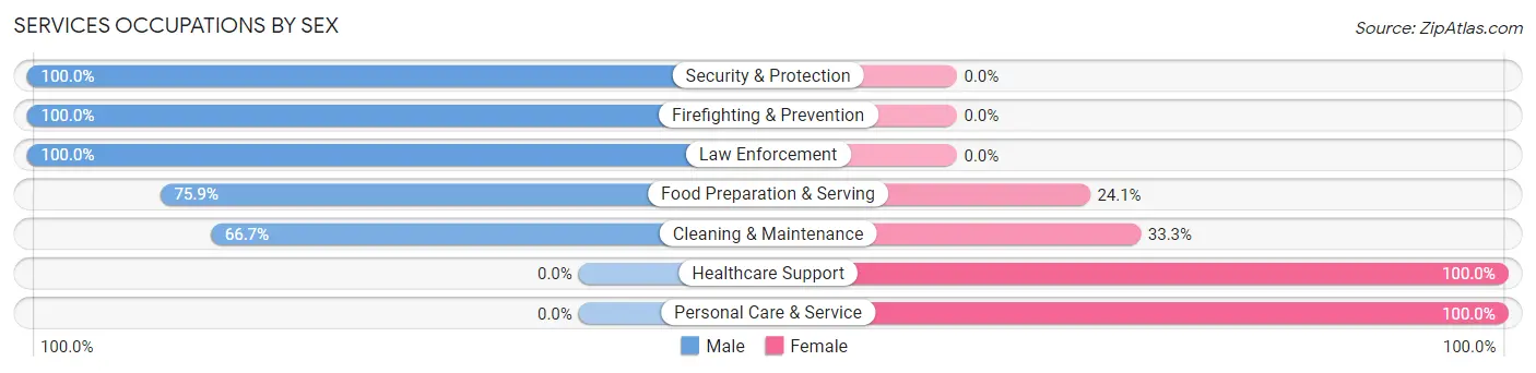 Services Occupations by Sex in Zip Code 57017