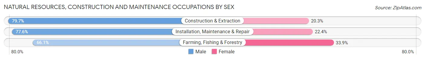 Natural Resources, Construction and Maintenance Occupations by Sex in Zip Code 57029