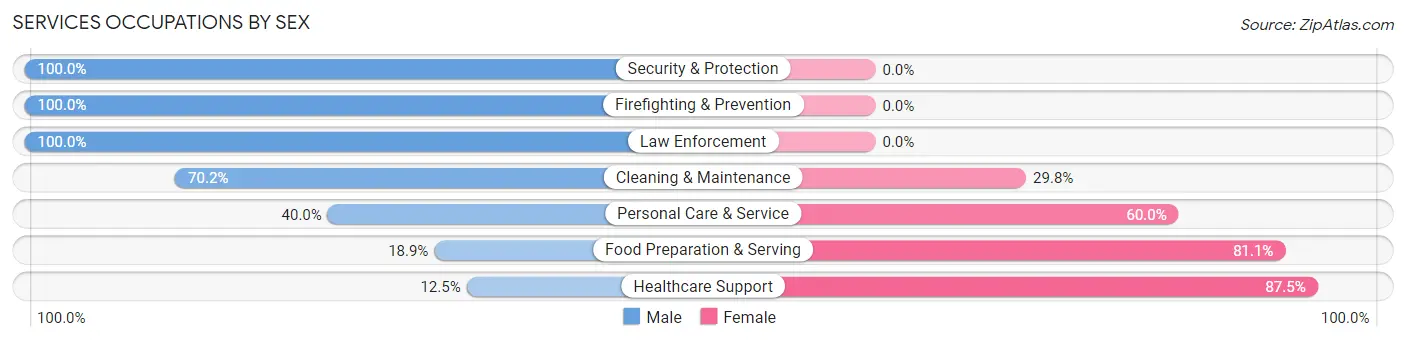 Services Occupations by Sex in Zip Code 57029