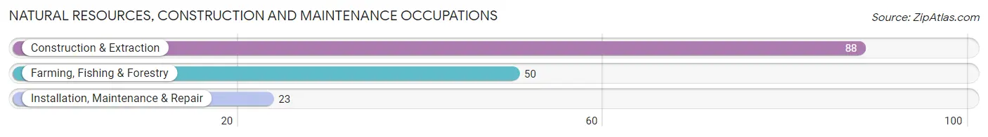 Natural Resources, Construction and Maintenance Occupations in Zip Code 57035