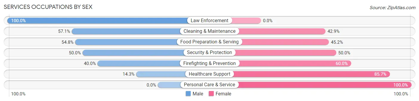 Services Occupations by Sex in Zip Code 57037