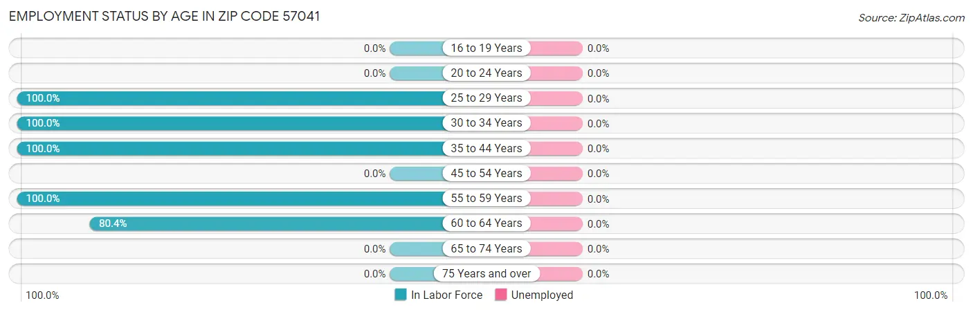 Employment Status by Age in Zip Code 57041