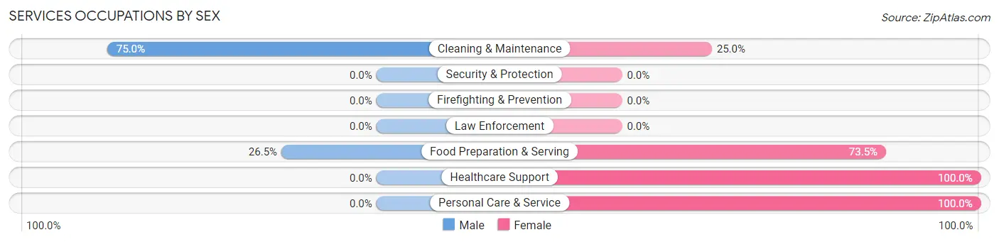 Services Occupations by Sex in Zip Code 57045