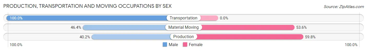 Production, Transportation and Moving Occupations by Sex in Zip Code 57049