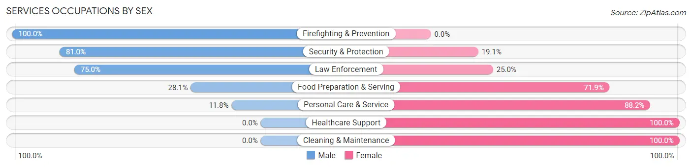 Services Occupations by Sex in Zip Code 57053