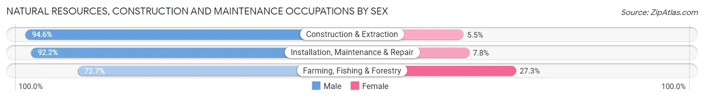 Natural Resources, Construction and Maintenance Occupations by Sex in Zip Code 57058