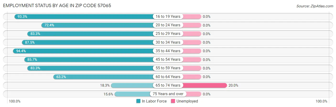 Employment Status by Age in Zip Code 57065