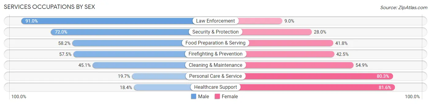 Services Occupations by Sex in Zip Code 57104