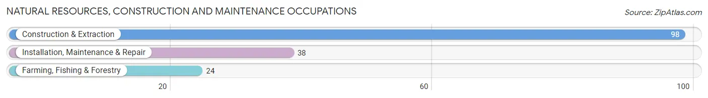 Natural Resources, Construction and Maintenance Occupations in Zip Code 57212