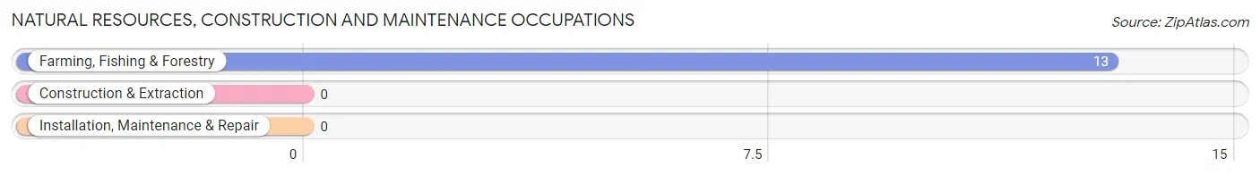 Natural Resources, Construction and Maintenance Occupations in Zip Code 57227