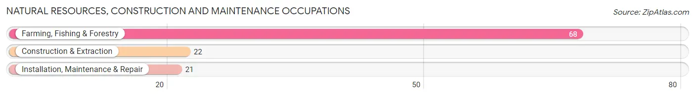 Natural Resources, Construction and Maintenance Occupations in Zip Code 57231