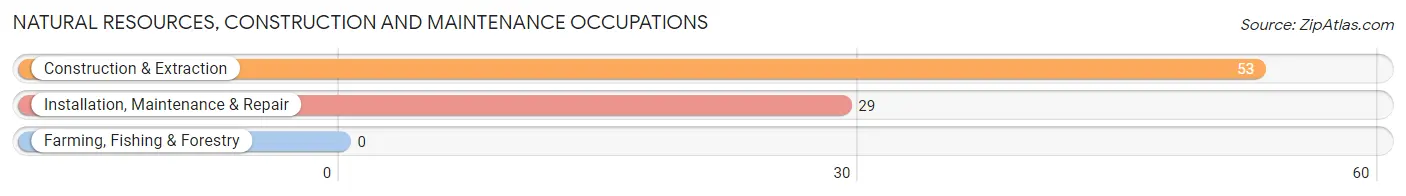 Natural Resources, Construction and Maintenance Occupations in Zip Code 57315