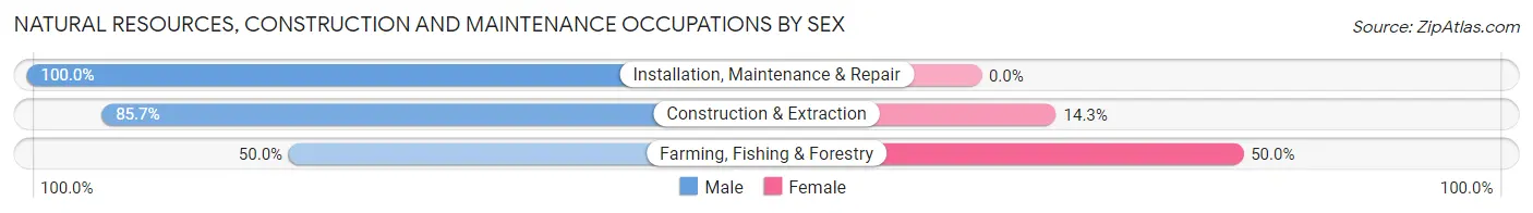 Natural Resources, Construction and Maintenance Occupations by Sex in Zip Code 57335