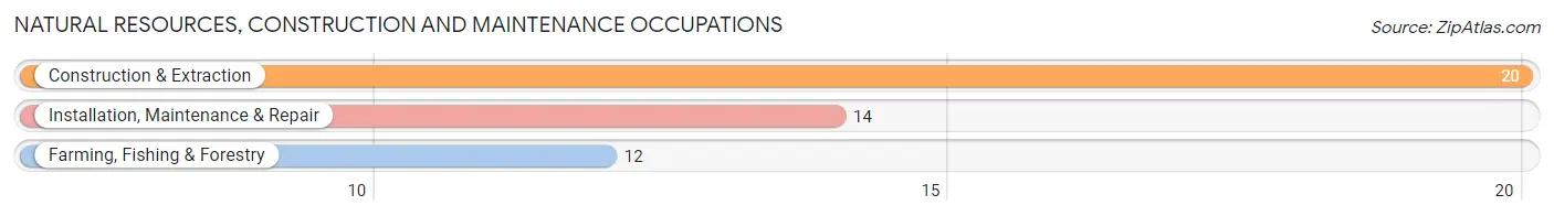 Natural Resources, Construction and Maintenance Occupations in Zip Code 57359