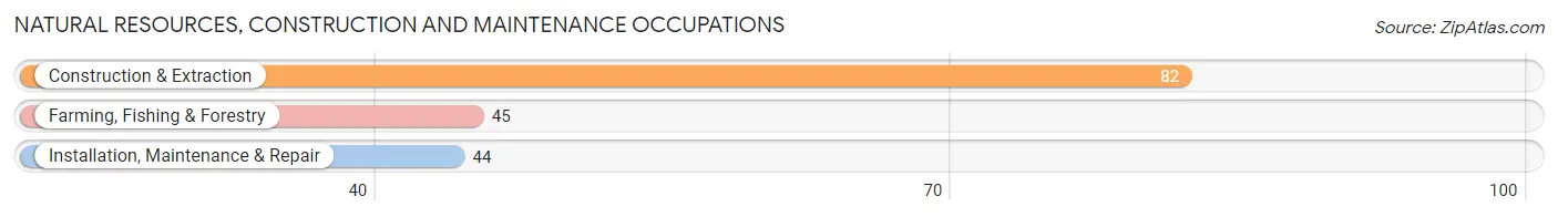 Natural Resources, Construction and Maintenance Occupations in Zip Code 57369