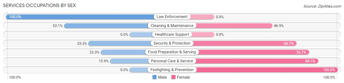 Services Occupations by Sex in Zip Code 57369