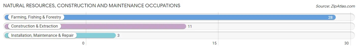 Natural Resources, Construction and Maintenance Occupations in Zip Code 57375