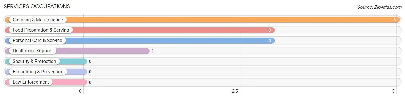 Services Occupations in Zip Code 57375