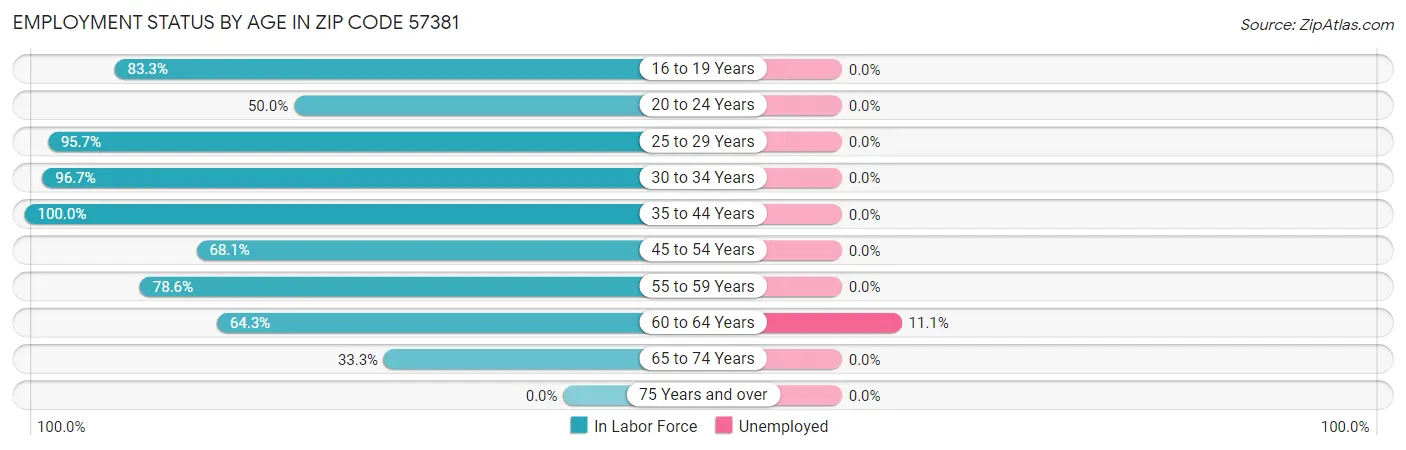 Employment Status by Age in Zip Code 57381