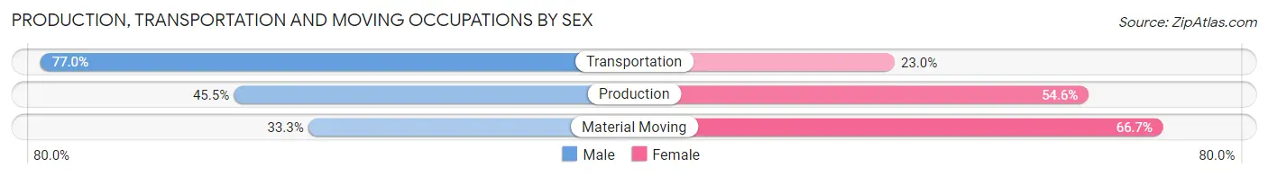Production, Transportation and Moving Occupations by Sex in Zip Code 57382