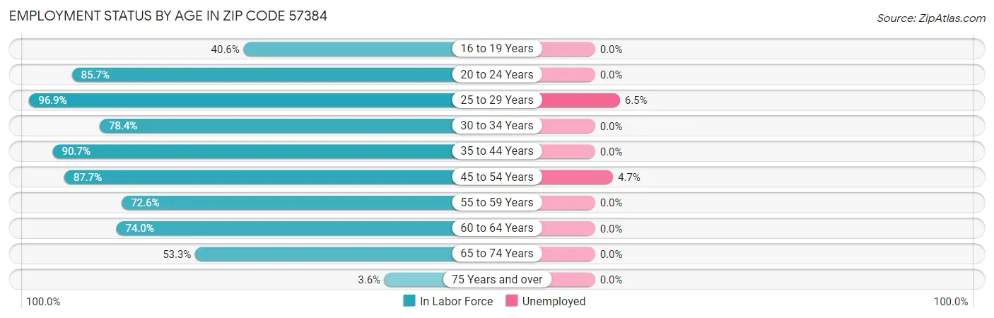 Employment Status by Age in Zip Code 57384