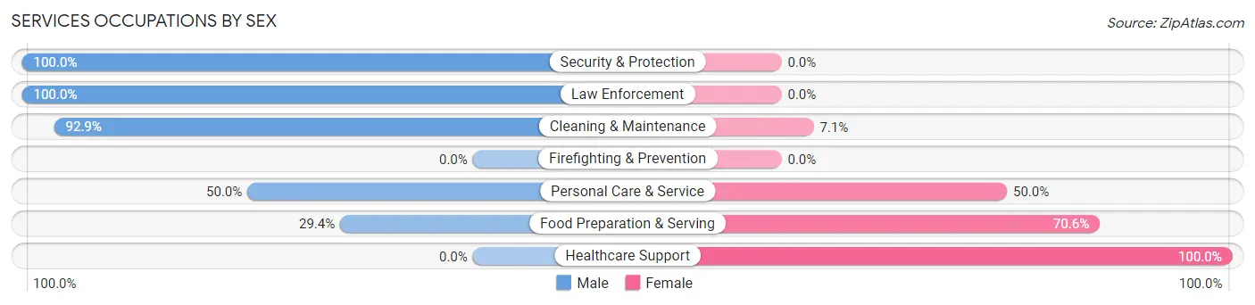 Services Occupations by Sex in Zip Code 57384