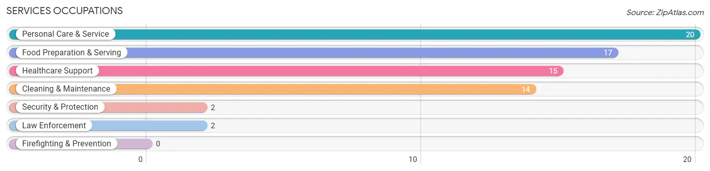 Services Occupations in Zip Code 57384