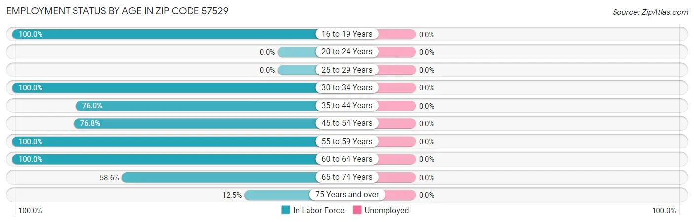 Employment Status by Age in Zip Code 57529