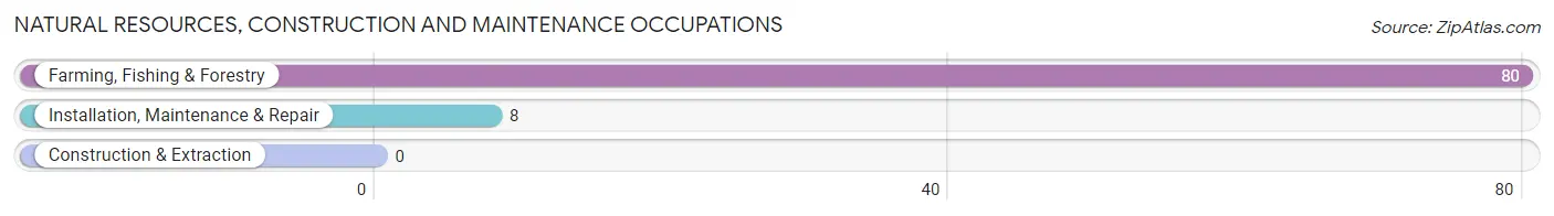 Natural Resources, Construction and Maintenance Occupations in Zip Code 57529