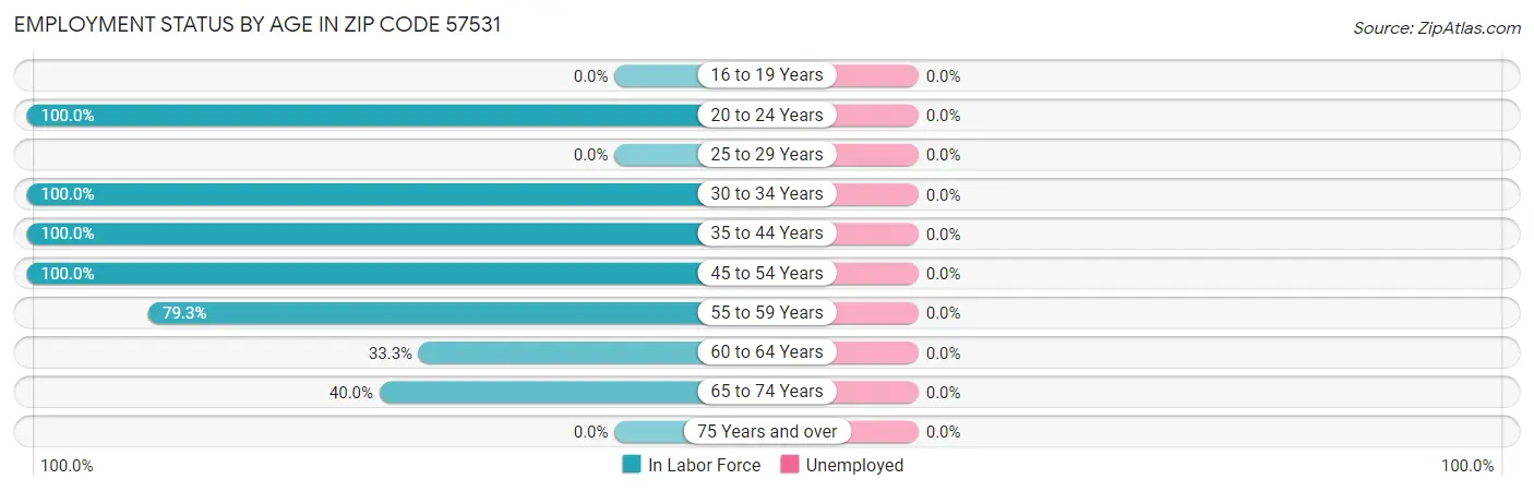 Employment Status by Age in Zip Code 57531