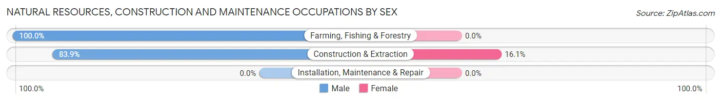 Natural Resources, Construction and Maintenance Occupations by Sex in Zip Code 57544