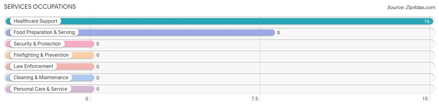 Services Occupations in Zip Code 57553