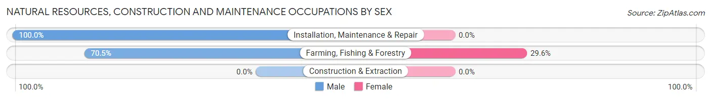 Natural Resources, Construction and Maintenance Occupations by Sex in Zip Code 57568