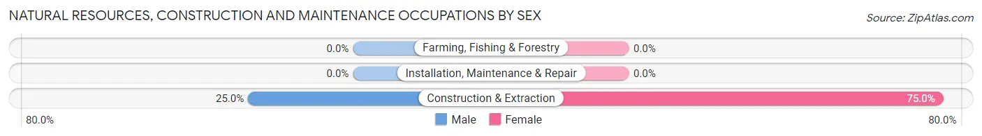 Natural Resources, Construction and Maintenance Occupations by Sex in Zip Code 57571