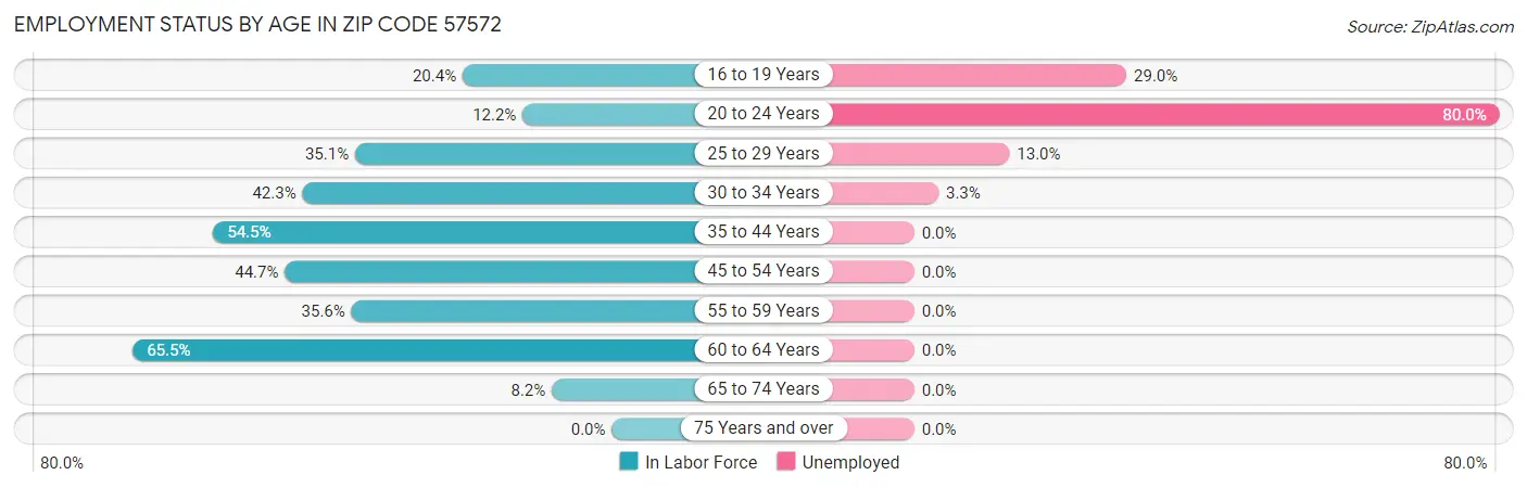 Employment Status by Age in Zip Code 57572