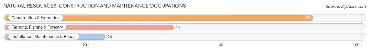 Natural Resources, Construction and Maintenance Occupations in Zip Code 57735