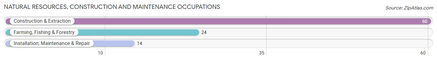 Natural Resources, Construction and Maintenance Occupations in Zip Code 57760