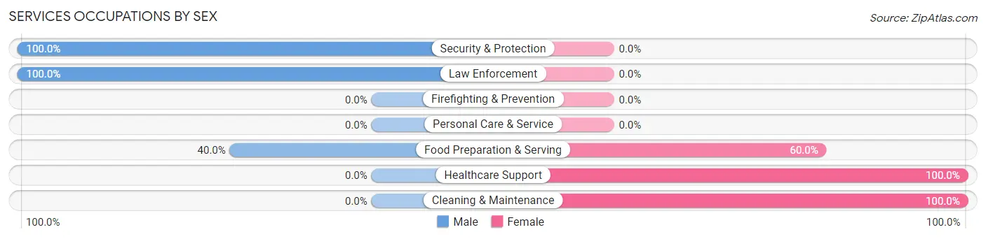 Services Occupations by Sex in Zip Code 57762