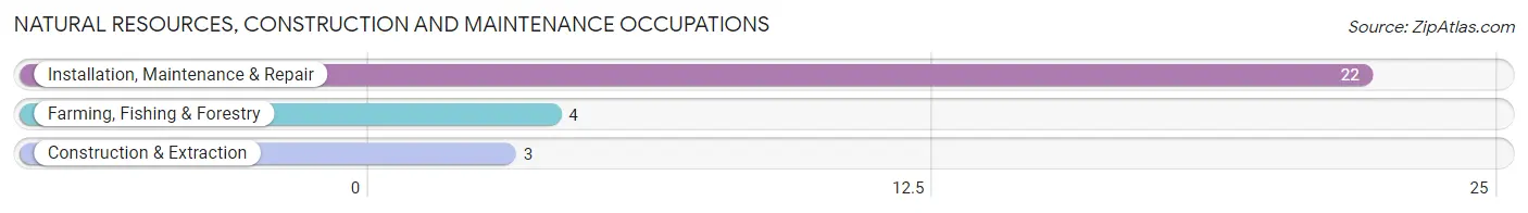 Natural Resources, Construction and Maintenance Occupations in Zip Code 58016