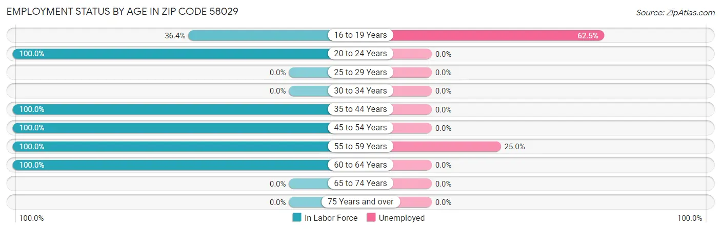 Employment Status by Age in Zip Code 58029