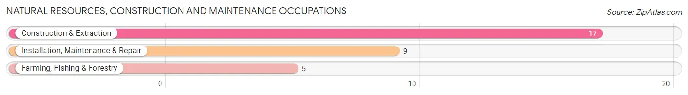 Natural Resources, Construction and Maintenance Occupations in Zip Code 58033