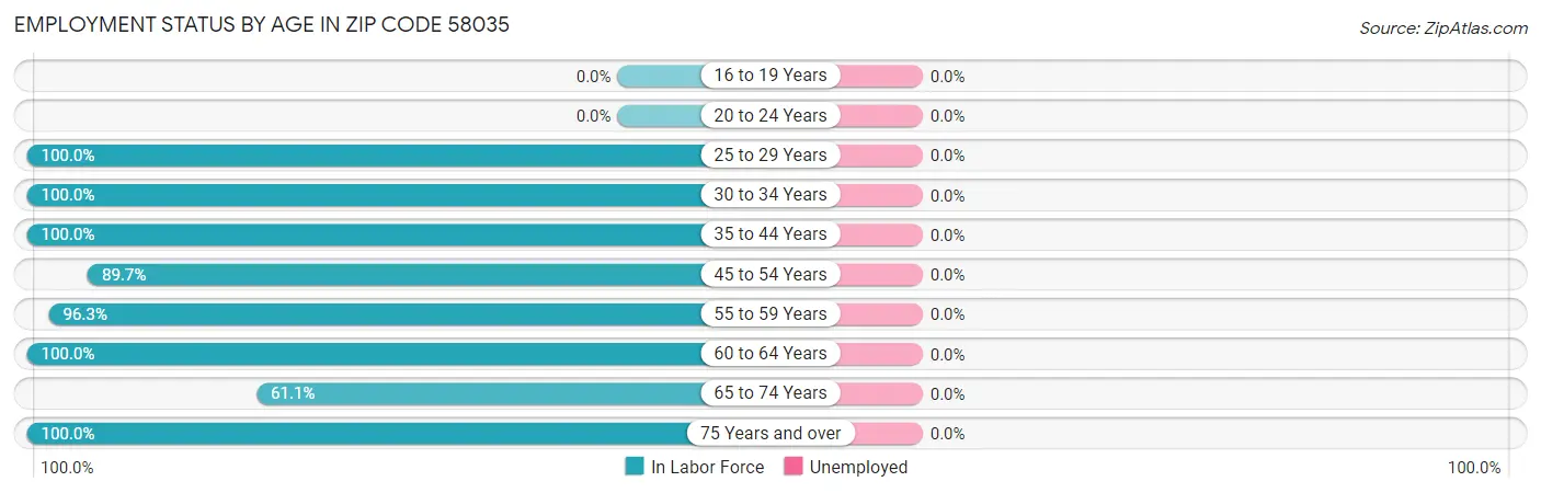 Employment Status by Age in Zip Code 58035