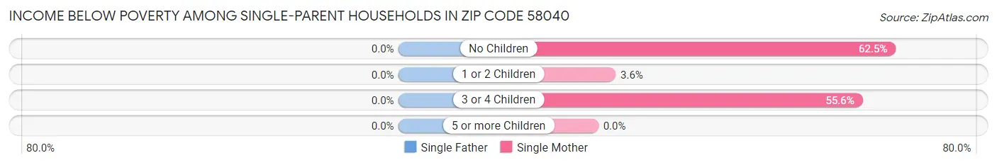 Income Below Poverty Among Single-Parent Households in Zip Code 58040
