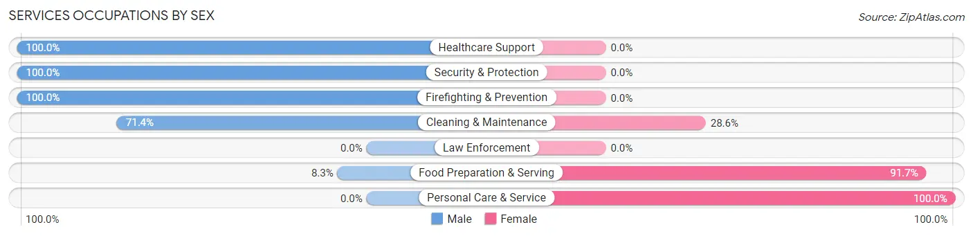 Services Occupations by Sex in Zip Code 58040