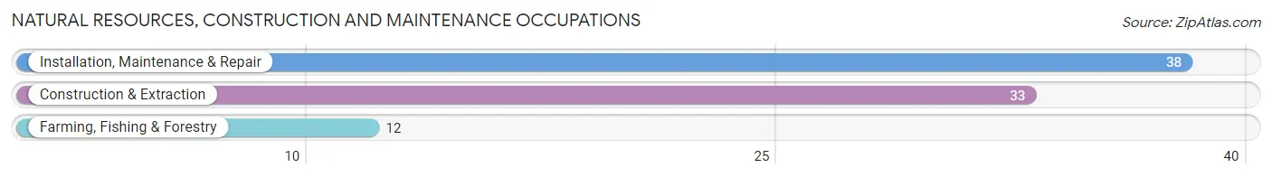 Natural Resources, Construction and Maintenance Occupations in Zip Code 58041