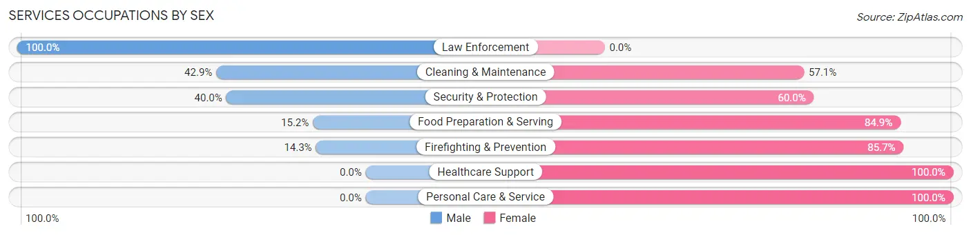 Services Occupations by Sex in Zip Code 58041