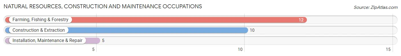 Natural Resources, Construction and Maintenance Occupations in Zip Code 58049