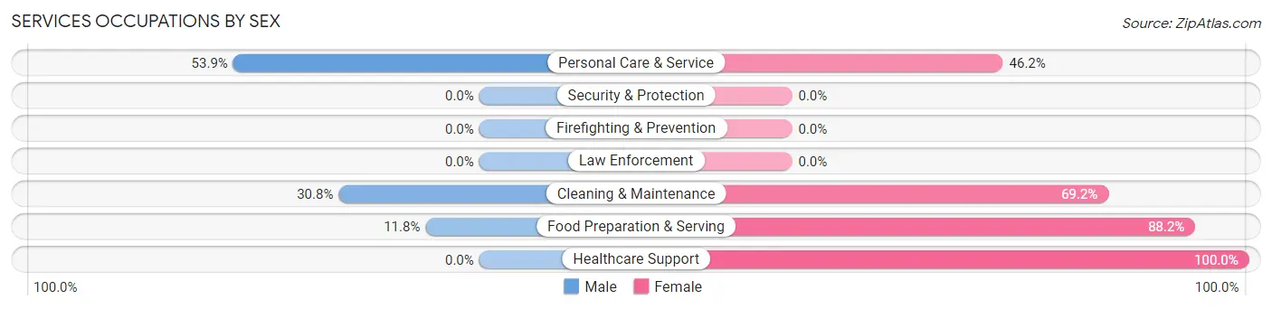 Services Occupations by Sex in Zip Code 58053