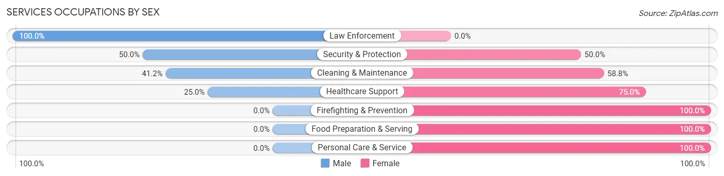 Services Occupations by Sex in Zip Code 58054
