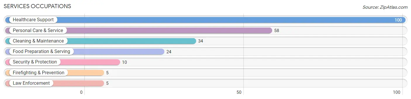 Services Occupations in Zip Code 58054